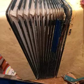 аккордеон/ Akkordeon