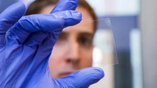 Корейцы создали окно из прозрачной древесины. Оно блокирует ультрафиолет и регулирует свет