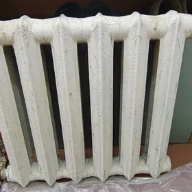 Ataplenýa gapyrga peç