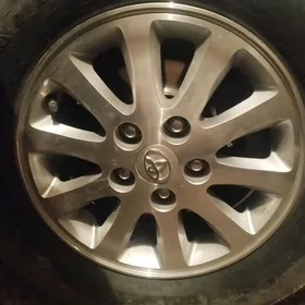 15 lik broşga disga