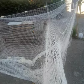 Сузме тор, бреден.