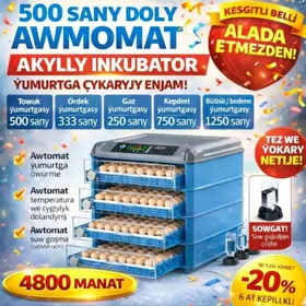 inkubator