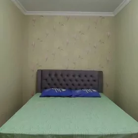 Arenda jay Sewçenko