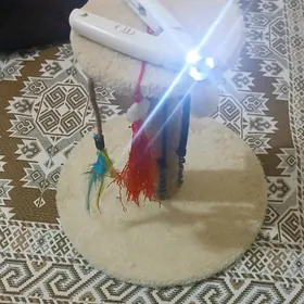 когтеточка для собак и кошек