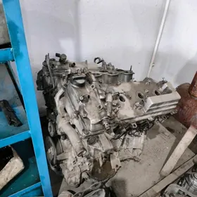 motor okuz kelle 3.5