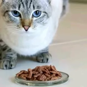 британский