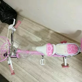 Tigir gyzjagaşyñky.