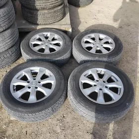 öküz kelle köke disga 16