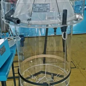 Амур инкубатор