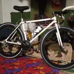 спортспорт