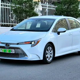 Toyota Corolla 2022