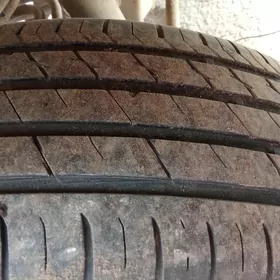 15 lik dysga pakryşga