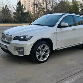 BMW X6 2010