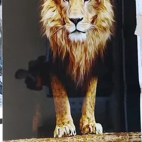 suratly panel/панель