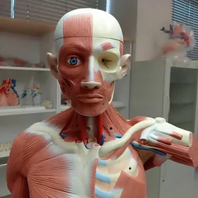 Himiýa we Biologiýa/ Repetitor