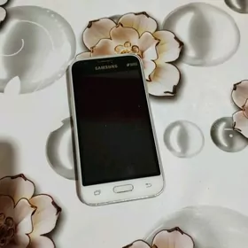 Samsung j1 mini