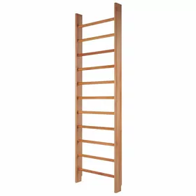 Гимнастическая стенка