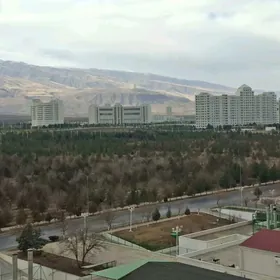 padwoyi elitk павоис 7 et 3 ko