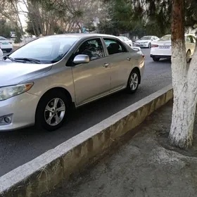 Toyota Corolla 2008
