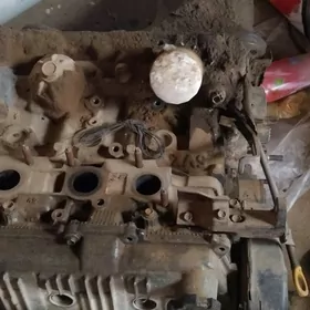 RUNNER TOKGA KAROPGA