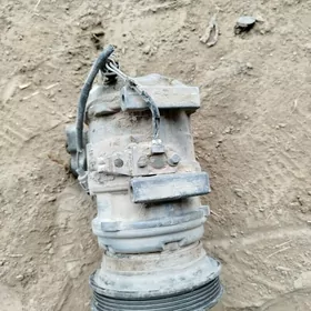 БАБИЧКА КОНПРЕСТР