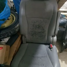 Haýlandyr sideniýa