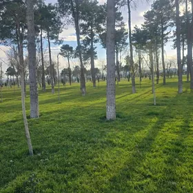 Arenda mir2 3etaz4kom