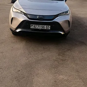 Toyota Venza 2021