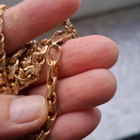 кардинал 70лик