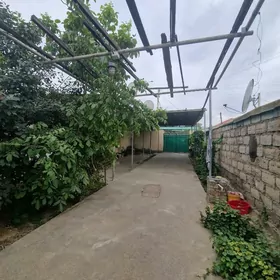 От хозяина. Плановый дом.