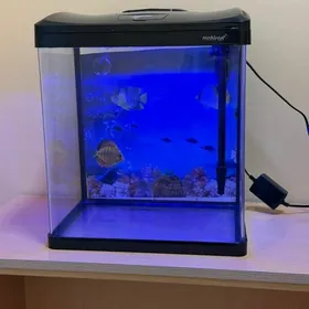 заводской аквариум