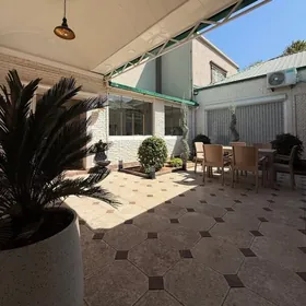 Ak Altyn plan jay lyuks