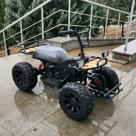 TIGIR MATOR GONCIN KALYASGA