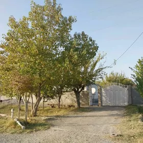 gokdepe sekizyap oba