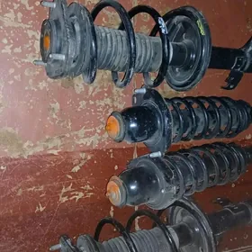 Karola amasdatyr ralowoý