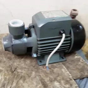 60 lyk shimga original suv nas