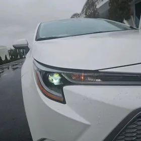 Corolla Fara komplekt çep sag