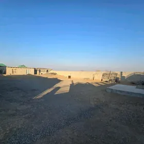 ️Onaly 12 sotak plan ️