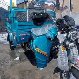 Fekon FK200-14G 2026