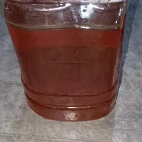 Shell Tellus S2 M46 wertiýonka ýag.