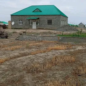 Gökdepe jay hurmont