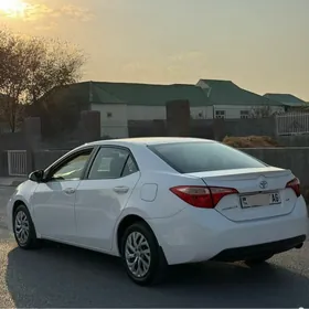 Toyota Corolla 2019