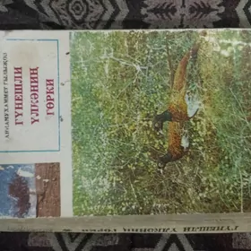 Gunesli ulkanin gorki