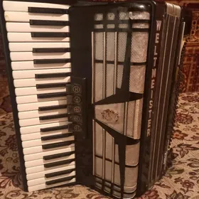 Аккордеон/ Akkordeon