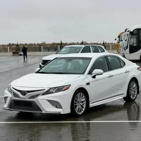 Toyota Camry 2019