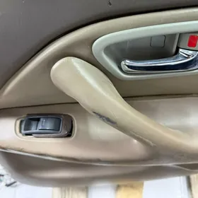 babocka gapy obsiwka