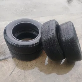 TEKER  18 LIK MIŞLEN