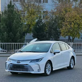 Toyota Corolla 2021