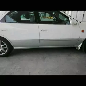 Babocka HALIJI molding