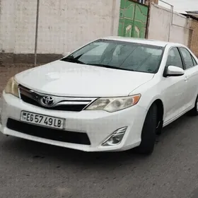 Toyota Camry 2013